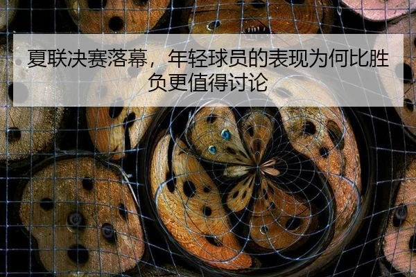 夏联决赛落幕，年轻球员的表现为何比胜负更值得讨论（ayx）